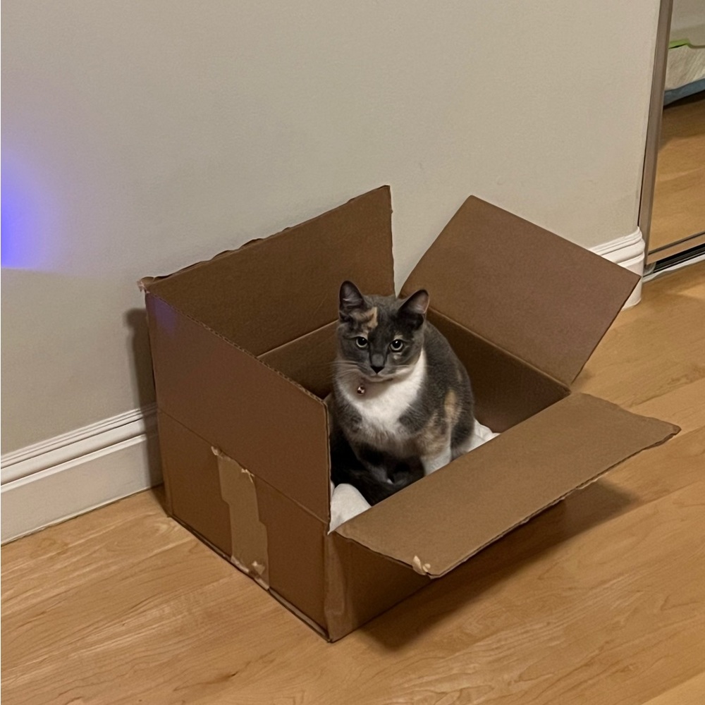 On hold, do not buy